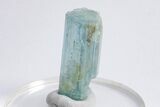 Sky-Blue Aquamarine Crystal - Transbaikalia, Russia #206225-2